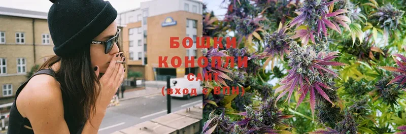 Конопля OG Kush  купить наркоту  Козельск 